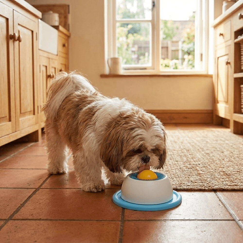 🐾 PsiakowaKula: Twój Pies Nigdy Więcej Nie Będzie Nudził Się Sam! 🐶