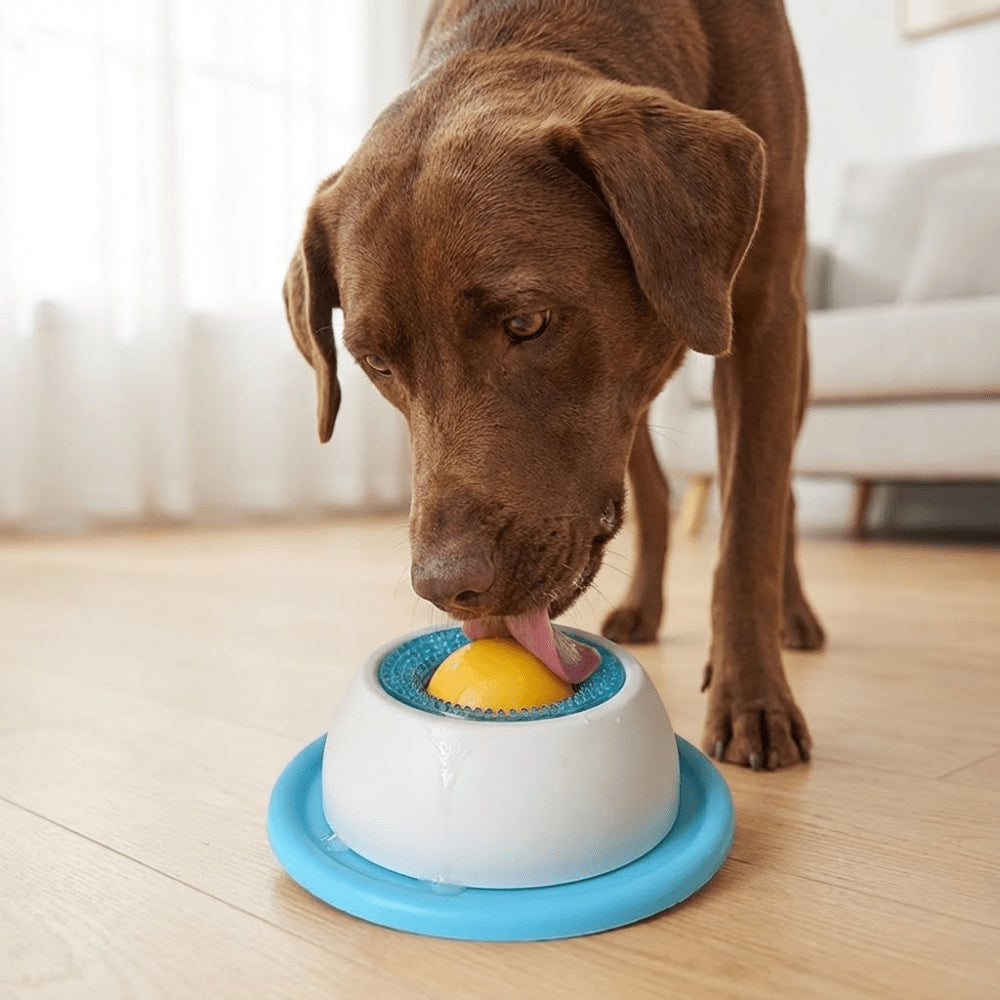 🐾 PsiakowaKula: Twój Pies Nigdy Więcej Nie Będzie Nudził Się Sam! 🐶
